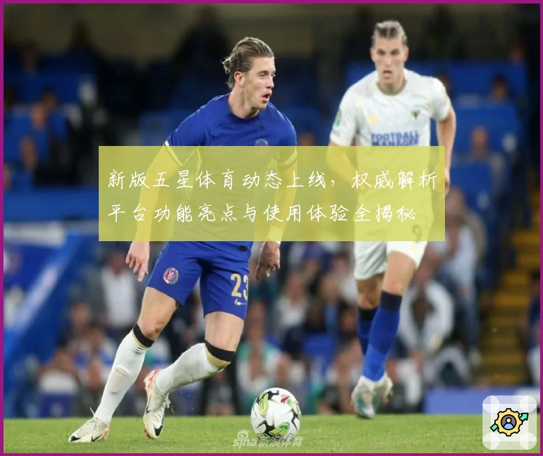 新版五星体育动态上线，权威解析平台功能亮点与使用体验全揭秘