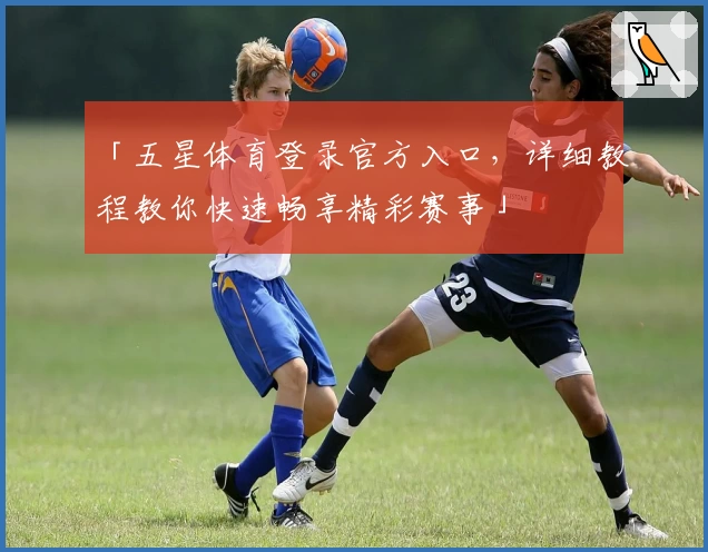 「五星体育登录官方入口，详细教程教你快速畅享精彩赛事」