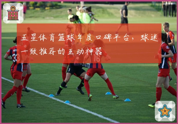 五星体育篮球年度口碑平台,球迷一致推荐的互动神器