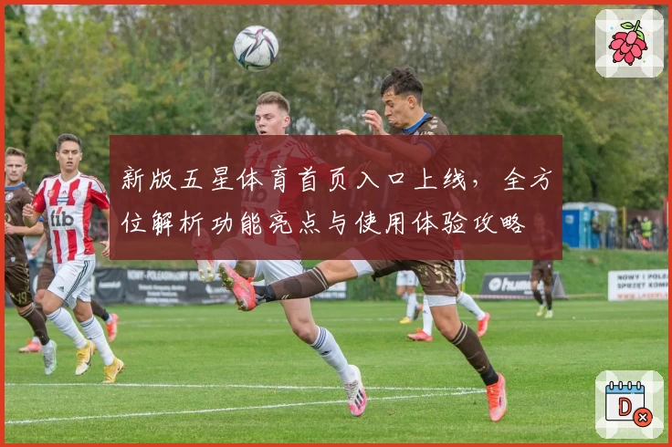 新版五星体育首页入口上线，全方位解析功能亮点与使用体验攻略