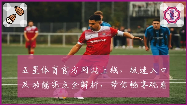 五星体育官方网站上线，极速入口及功能亮点全解析，带你畅享观看赛事新体验