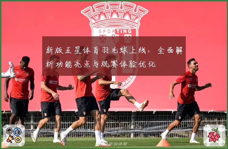 新版五星体育羽毛球上线，全面解析功能亮点与观赛体验优化