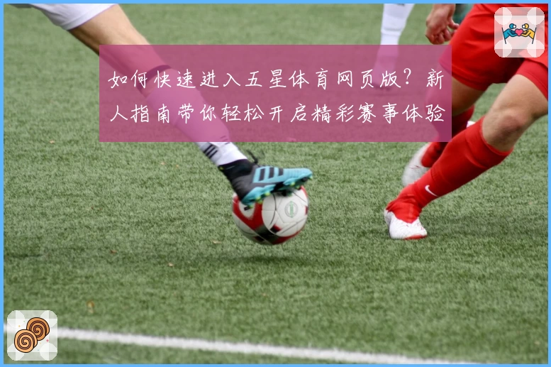 如何快速进入五星体育网页版？新人指南带你轻松开启精彩赛事体验