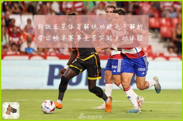 新版五星体育解说功能亮点解析，带你畅享赛事全景实时互动体验