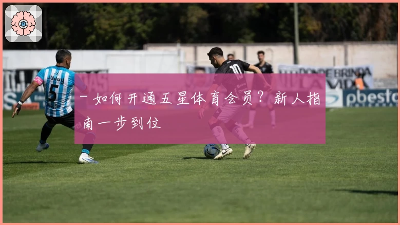 - 如何开通五星体育会员？新人指南一步到位